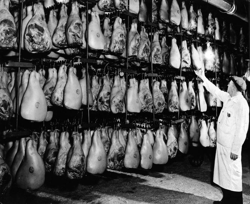 Illustration for article titled Utterly Disturbing, Century-Old Photos of Meat-Packing Facilities